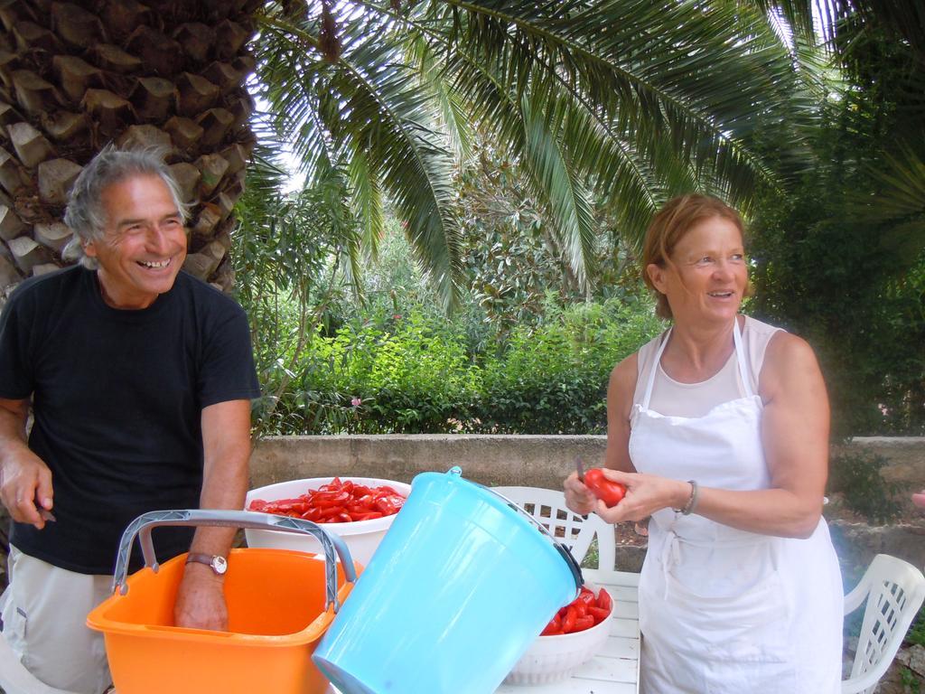 B&B Valle D'Itria Martina Franca Extérieur photo